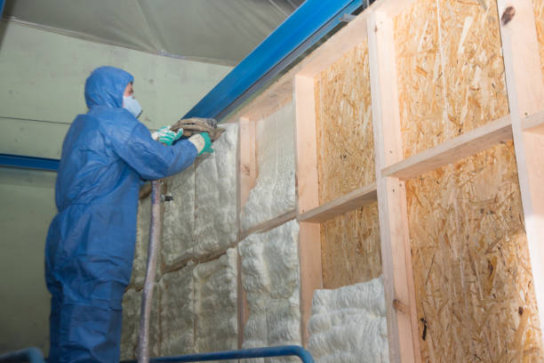 Best Crawl Space Insulation  in Bayshore Gardens, FL